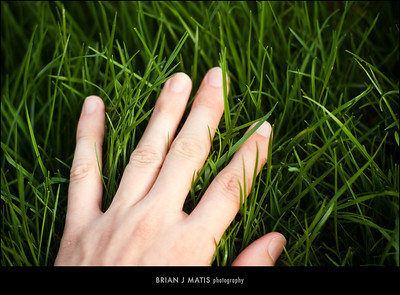 Touching Grass by Brian J Matis licensed under CC BY-NC-SA 2.0